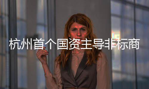 项目杭州主导建成国资首个商业非标