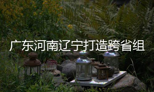 河南辽宁组合泽涛入选跨省有望打造队接力 宁广东三省